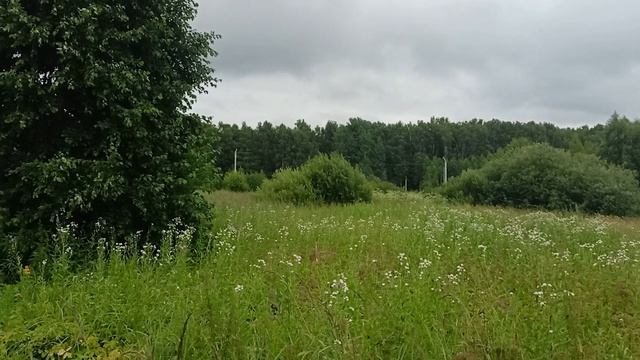 50:04:0080503:461