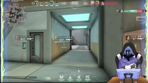LIVE: LogicsOFF