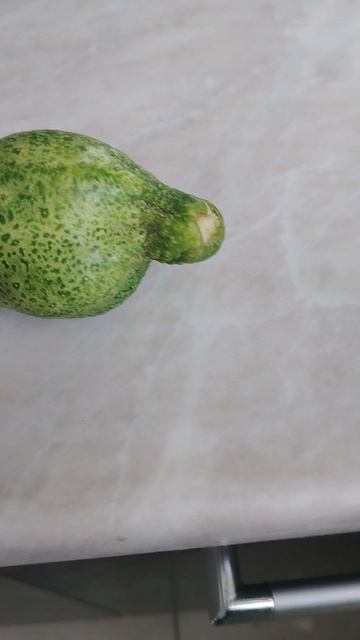 это огурец