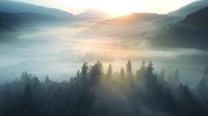 Релаксация, медитация, улучшение сна, снятие стресса, фон для работы и учебы, йога. ॐ🙏🧘♀️