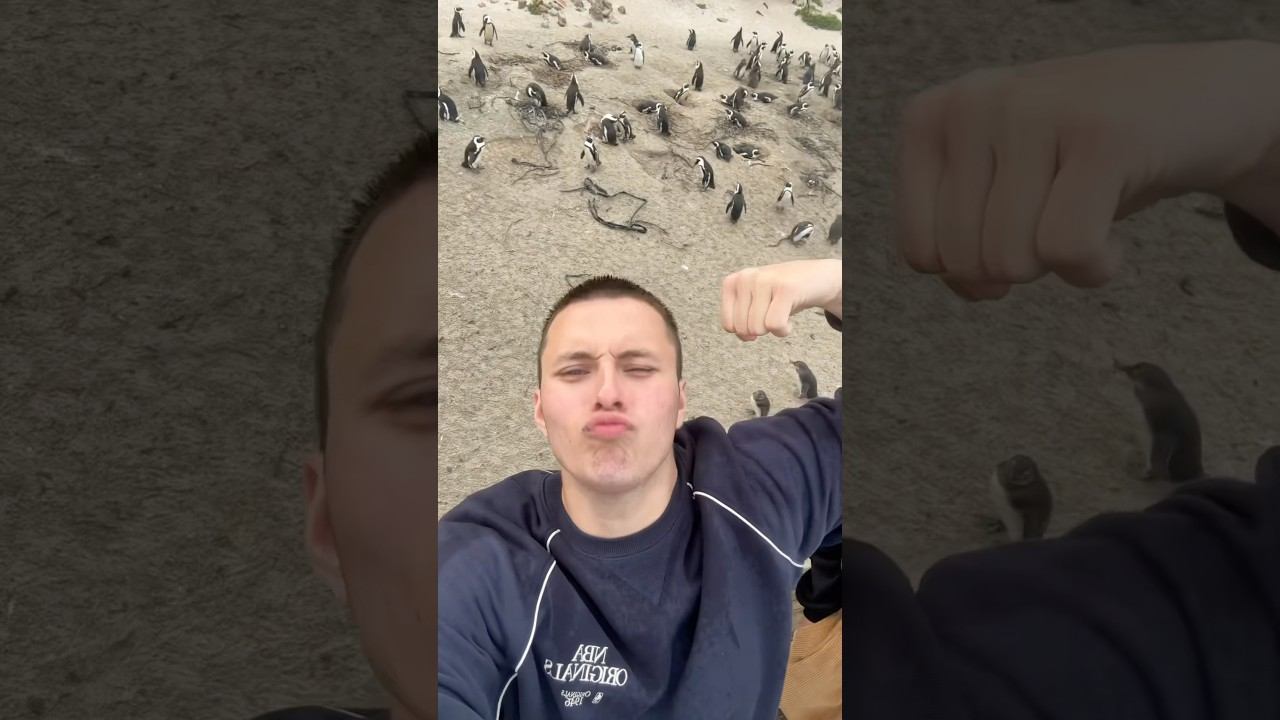 мы в Сочи? #сладкаячетверка