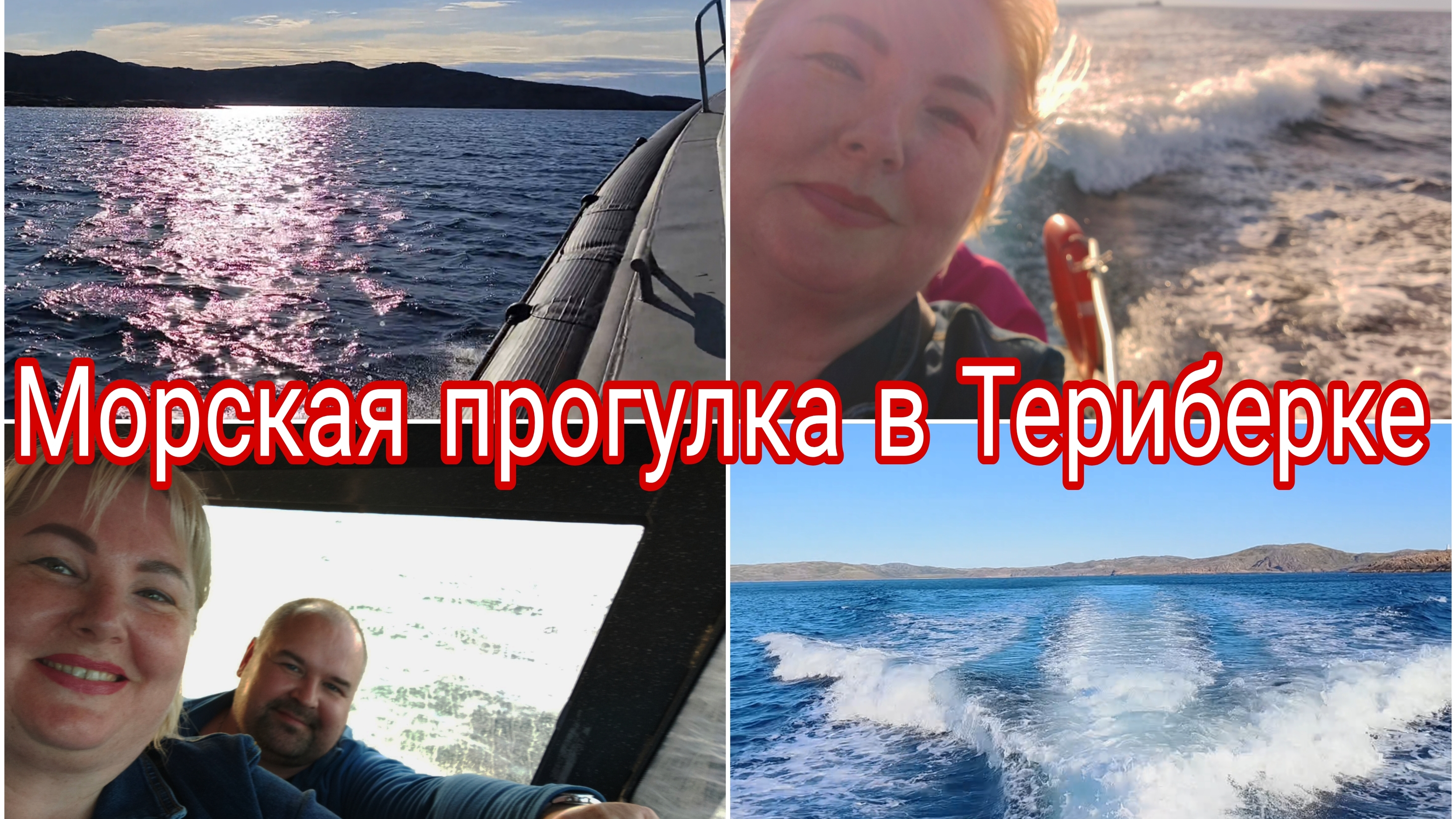 15-08-2026 Мы вышли в Баренцево море  искать китов * Тюлени греются на солнышке 🦭🦭🦭