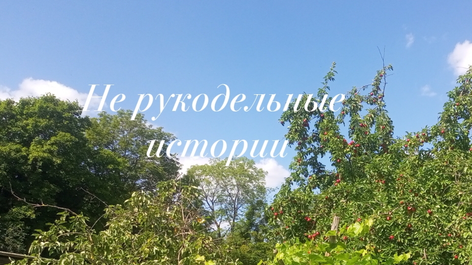 Сбор урожая//нам будет вкусно