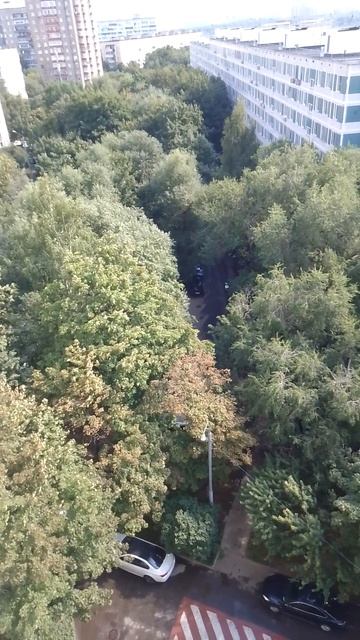 Звуки лета в городе,17.8.26