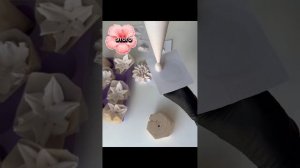 Отсадка гладиолусов