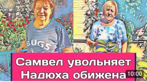 САМВЕЛ АДАМЯН, ОБЗОР ОТ ОЛЬГИ, НАДЮ УВОЛЬНЯЮТ, РЫДАЕТ В ТИКТОКЕ, ПОЧЕМУ ТЕРПЕЛА..