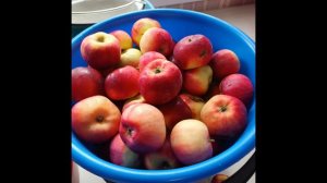 Почему цикл такой долгий?🤪,варенье из яблок🍎 с малиной,🍓 клубникой, сливы,яблоки +чернплодкой