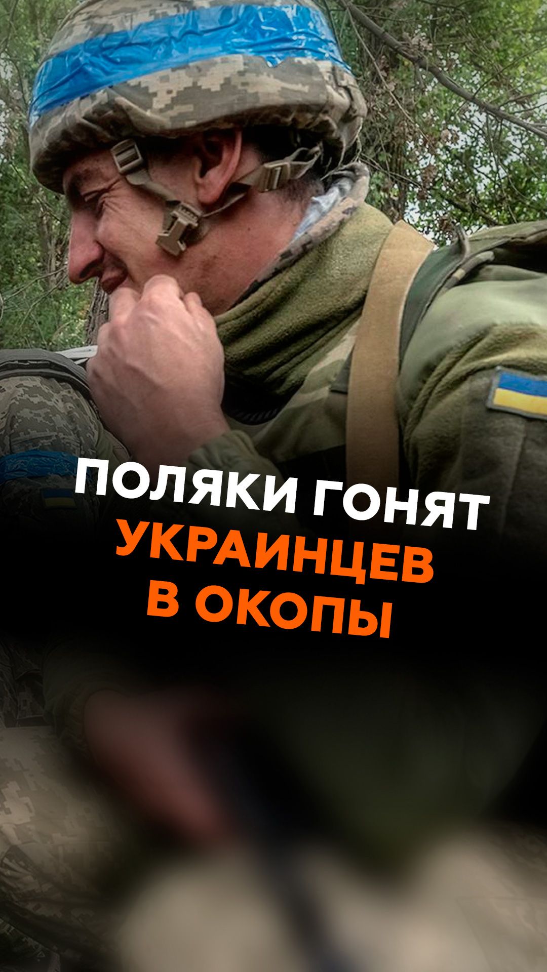 Поляки гонят украинцев в окопы украина мигранты польша беженцы новости политика