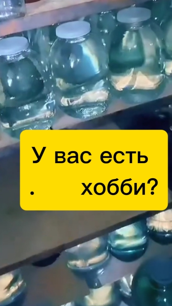 у вас есть хобб