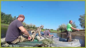 Утро на карьере. Вода кипит от щуки.