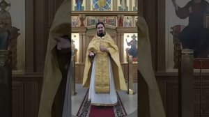 Крещение Господне. Троица. Как каяться и верить в Евангелие. Проповедь о. Вячеслава. 17.8.26