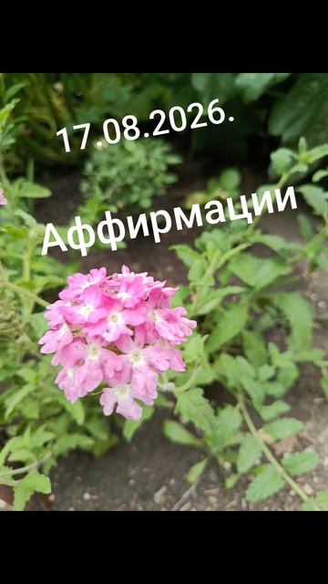 Девизы лета, месяца, недели, дня!✨🌈☀️17.08.2026. Творчество, время, успех, дорога и безопасность!