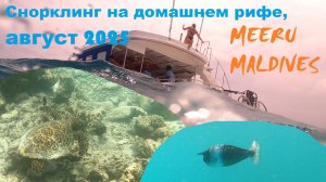 Снорклинг на домашнем рифе Meeru Maldives, август 2025 #снорклинг #мальдивы #мальдивы2025 #maldives