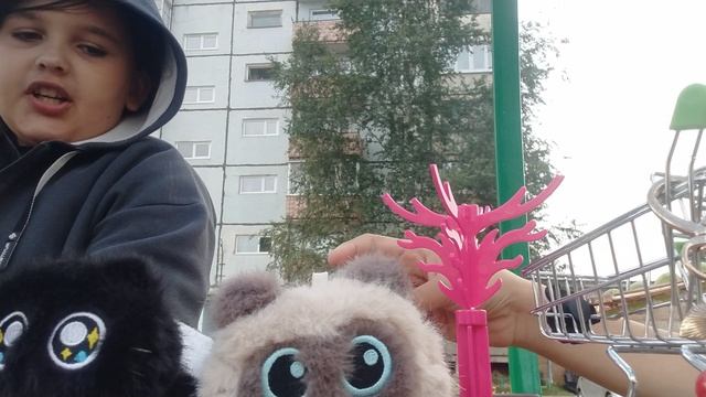 VID_20260817_164318.mp4