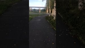 За сколько заболевший человек дойдёт до анализоприемника