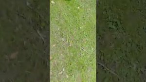 Мы снимаем как гуляем по парку дружба в Москве у северного речного вокзала