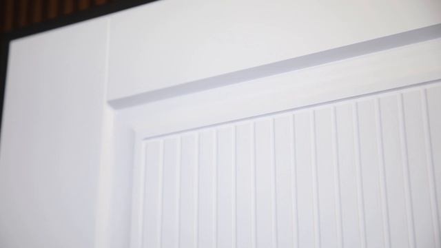 Стальная дверь Scandi с зеркалом (биометрический замок Smart Lock Y12)