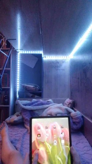 играю в мм2