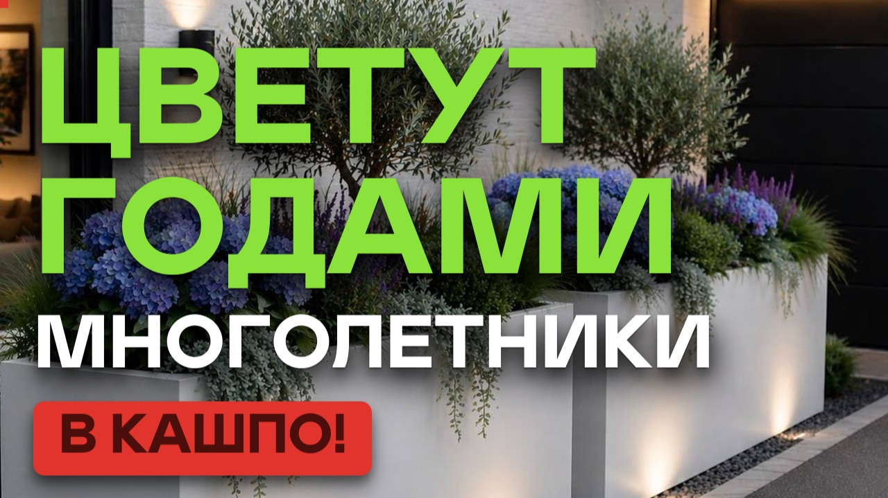 25 ЛУЧШИХ многолетников для кашпо 🌿 Что посадить в контейнеры, чтобы красиво всё лето
