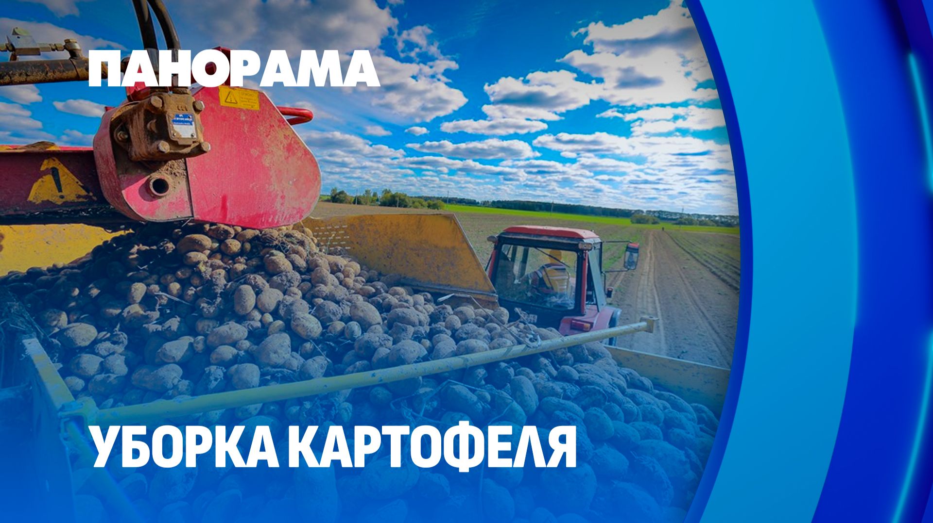 В Беларуси стартовала уборка картофеля! Панорама