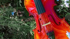 Скрипка музыка. Современная скрипка. Спокойная скрипка. Красивая скрипка. Грустная скрипка без слов