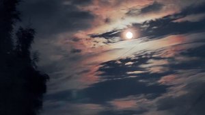 Bart Howard, Frank Sinatra - Fly me to the moon.