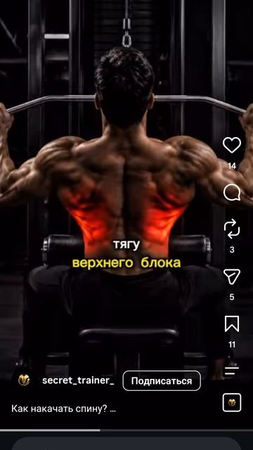 Качаем широчайшую  мышцу спины.