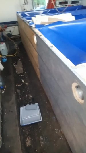 Пока есть свободное время доделываю бассейны на акваферме. Заодно снял Вам во втором видео малька...