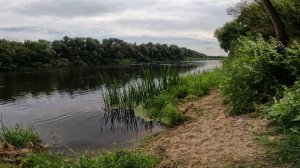 РЫБАЛКА НА ДОНКИ В АВГУСТЕ