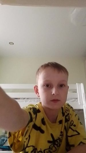 тик ток врал