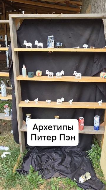 архетип питер пэн