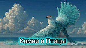 Камни и Птицы 🕊💖❓ стихи