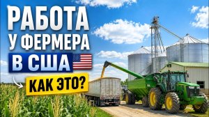 КАК ВЫЖИВАЮТ РУССКОЯЗЫЧНЫЕ НА ЗАГНИВАЮЩЕМ ЗАПАДЕ: ПЛЮСЫ И МИНУСЫ РАБОТЫ У ФЕРМЕРА В США