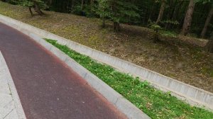 Комсомольский пруд Ставрополь (17.08.2026)