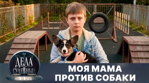Дела судебные с Алисой Туровой. Битва за будущее. Эфир от 17.08.26