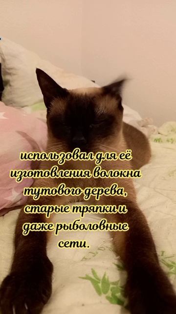 Клеопатра
#факты #история #уход #жизнь # #радость #интересно #рекомендации #популярное #подборка #ко