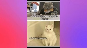 Юмор