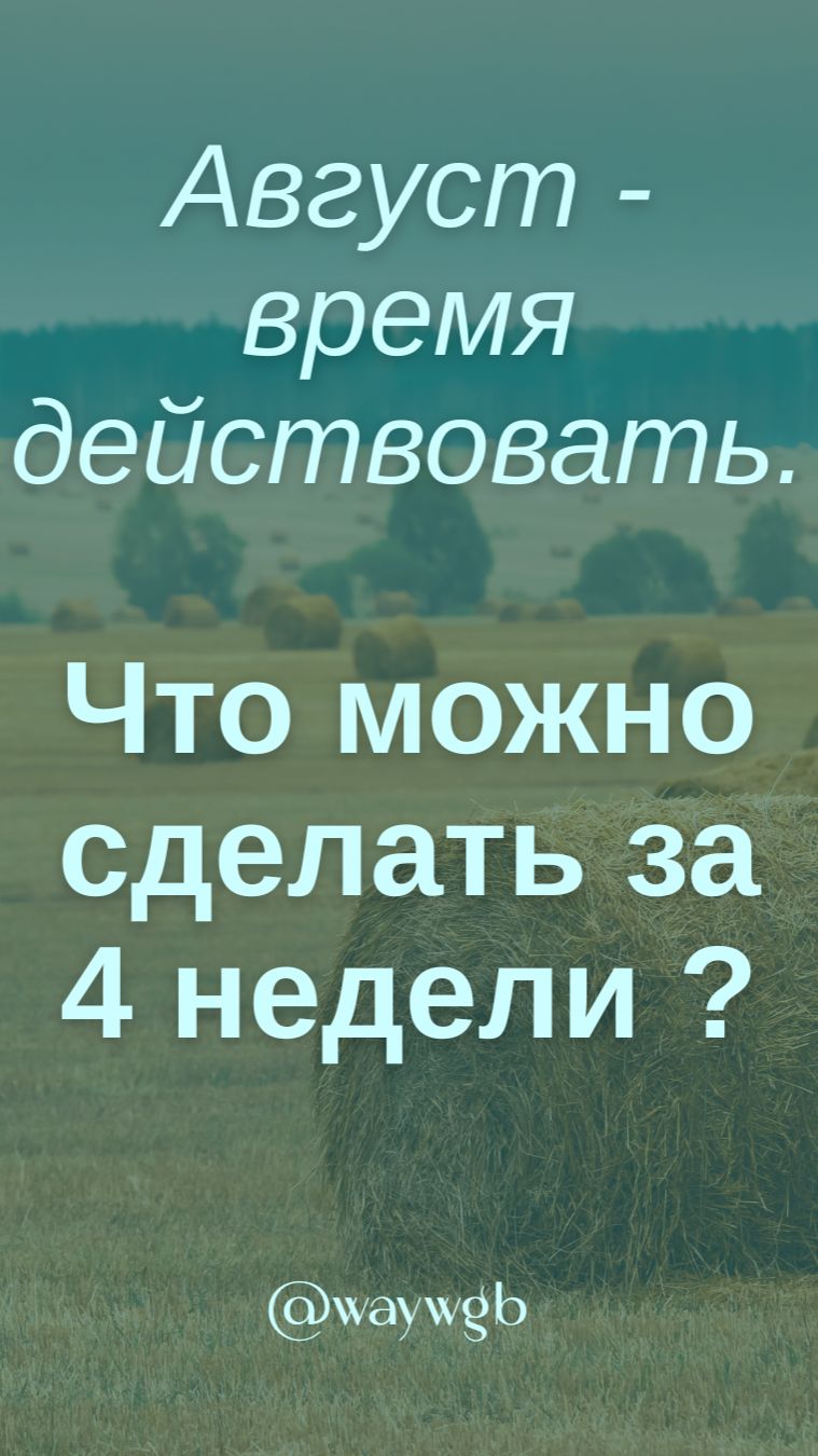 Август - время действовать: что можно сделать за 4 недели