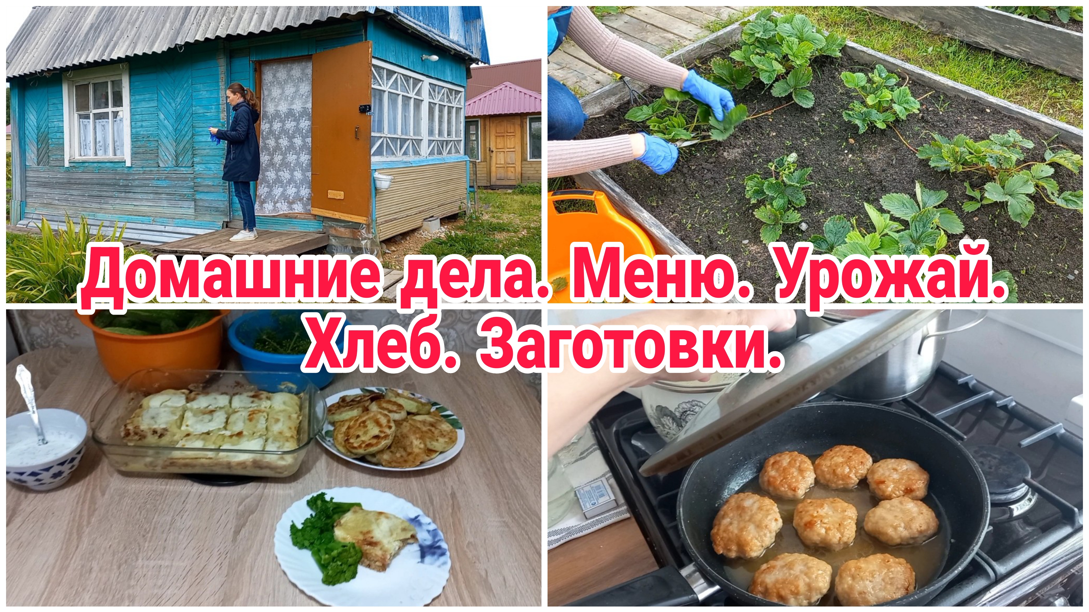 Домашние дела// Меню// Урожай// Хлеб// Заготовки
