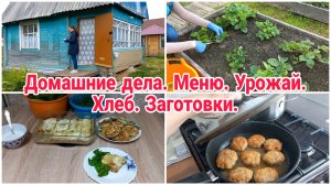 Домашние дела// Меню// Урожай// Хлеб// Заготовки