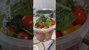 17.08 СОЛЁНЫЕ ПОМИДОРЫ И ОГУРЕЦЫ 
ВЯЛЕНЫЕ ТОМАТЫ