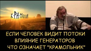 ✅ Н.Левашов. Если человек видит потоки. Влияние генераторов. Что означает «крамольник»