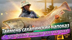 🇷🇺 Трофейные сахалинские таймени залива Набиль