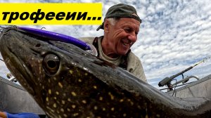 Трофеееиии!!!!