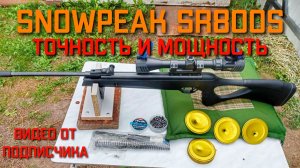 ТОЧНОСТЬ И МОЩНОСТЬ пневматической винтовки SNOWPEAK SR800S с витой усиленной пружиной