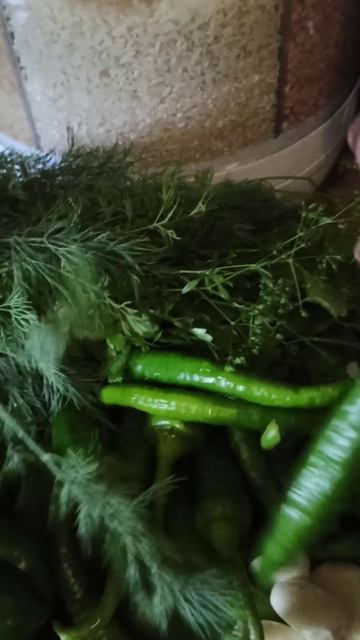 Ароматная и вкусная зеленая аджика на зиму без варки💪👌