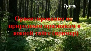 Ориентирование по природным признакам в южной тайге (пример)