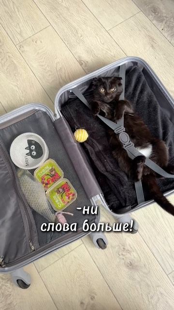 все необходимое