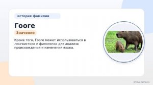 Фамилия Гооге: происхождение, значение и склонение