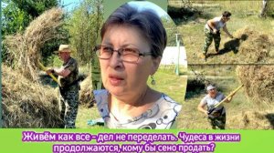 Живём как все - дел не переделать. Чудеса в жизни продолжаются. Кому бы сено продать?